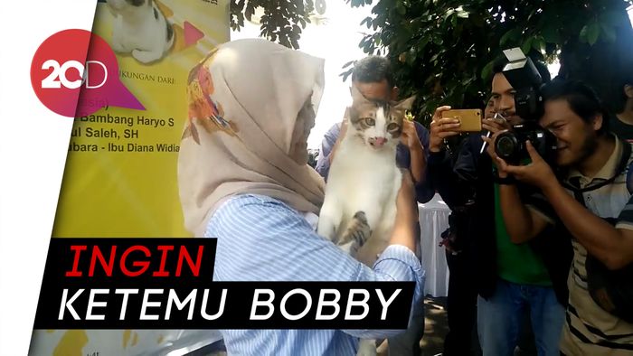 Dulu Telantar, Siapa Sangka Bandi Jadi Juara Mirip Kucing Prabowo