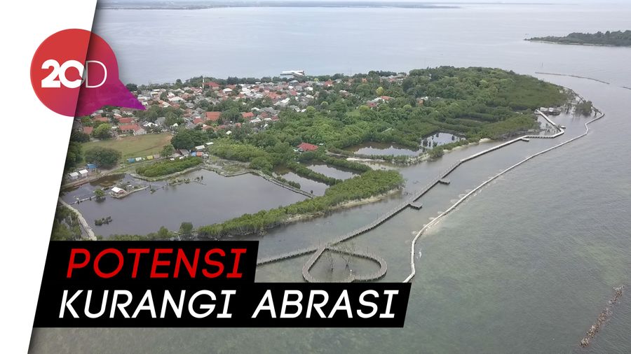 Melihat Laguna Mangrove Terbesar di Kepulauan Seribu