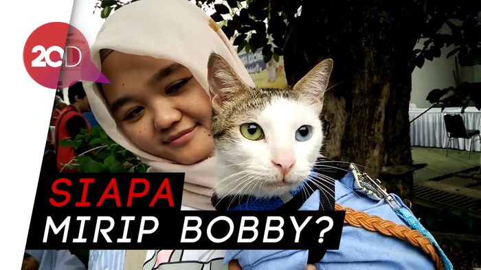 Seru! Saat Para Kucing Berlomba Mirip Bobby The Cat Prabowo