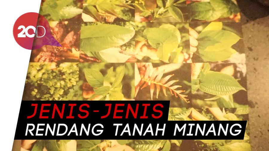 Wow! Ternyata Daun Bisa Direndang Lho
