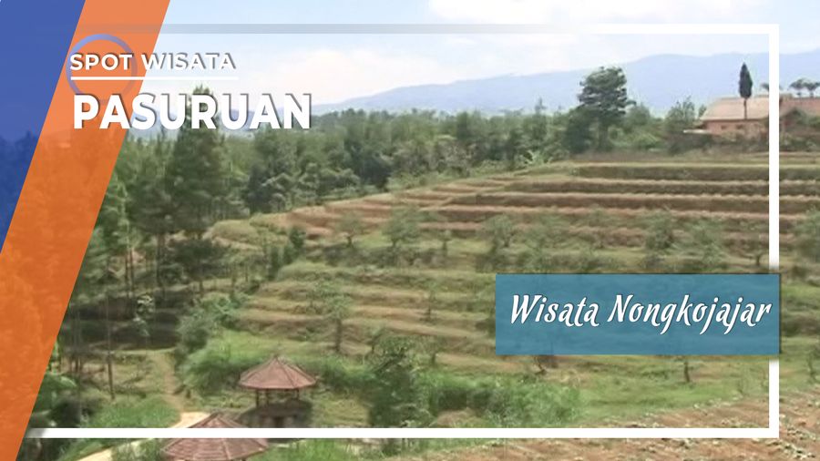 Mengunjungi Obyek Wisata Nongkojajar di Pasuruan