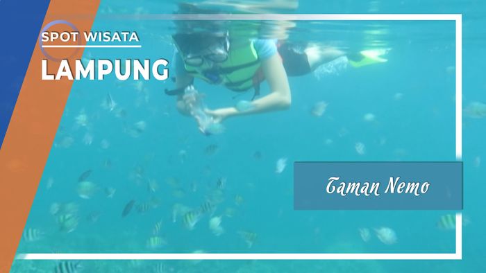 Menyelam Taman Nemo di Jelarangan Pesawaran Lampung