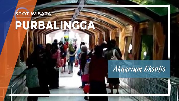 Akuarium Eksotis Purbalingga