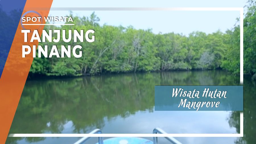 Wisata Hutan Mangrove dan Kuliner Khas Kota Tanjung Pinang