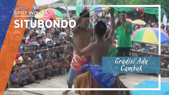 Ojung, Tradisi Kuat Adu Cambuk Kaum Pria Di Situbondo