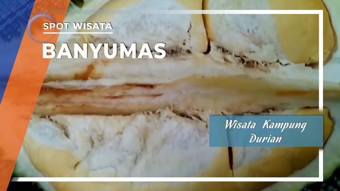 Menikmati Durian di Wisata Kampung Durian Banyumas