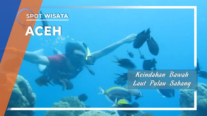 Menelusuri Keindahan Bawah Laut di Pulau Sabang