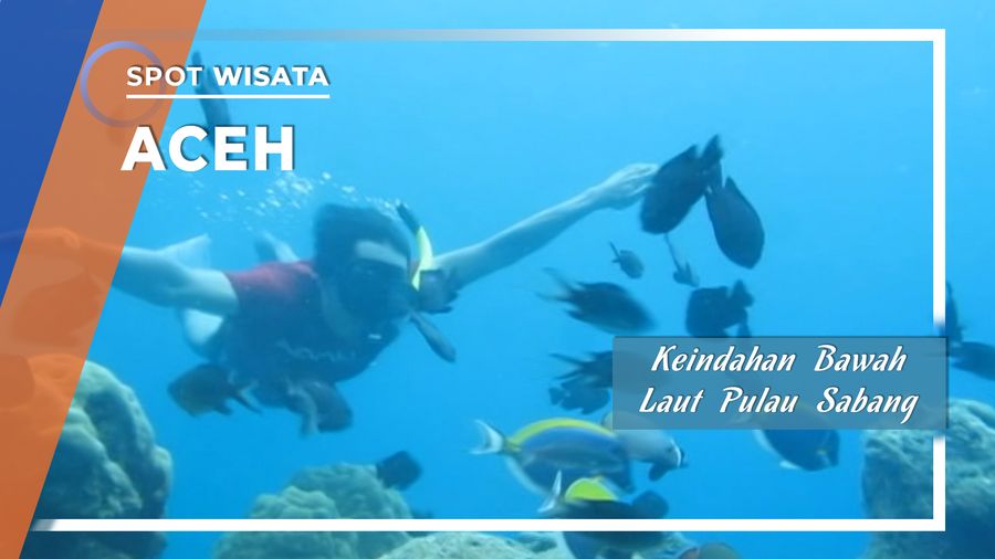 Menelusuri Keindahan Bawah Laut di Pulau Sabang