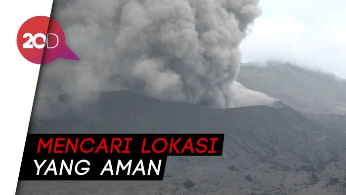 Dampak Hujan Abu Vulkanik Bromo, Satwa Endemik Kabur