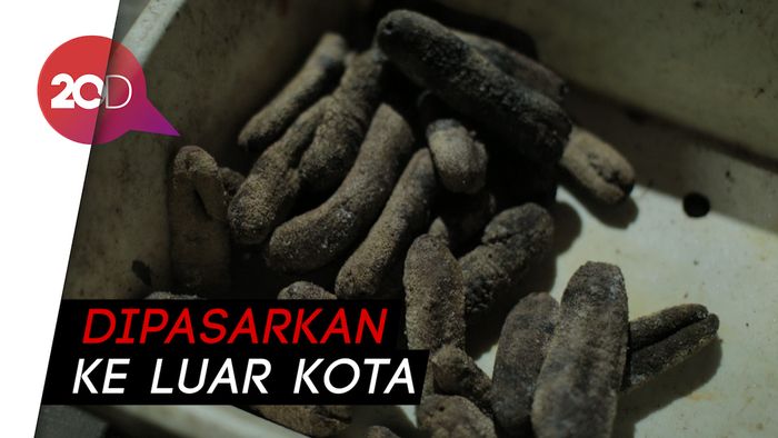 Pengepul Teripang Laut Beromzet Puluhan Juta