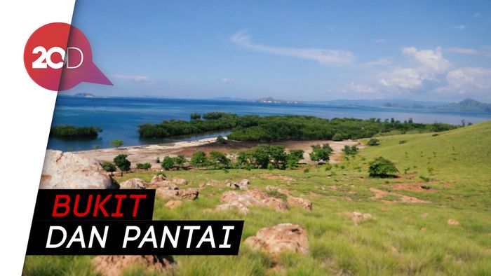 Hutan Mangrove dan Bukit Santai, Primadona Pulau Papagarang