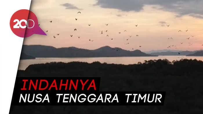 Indahnya Sunset Ditemani Jutaan Kelelawar di Pulau Kalong