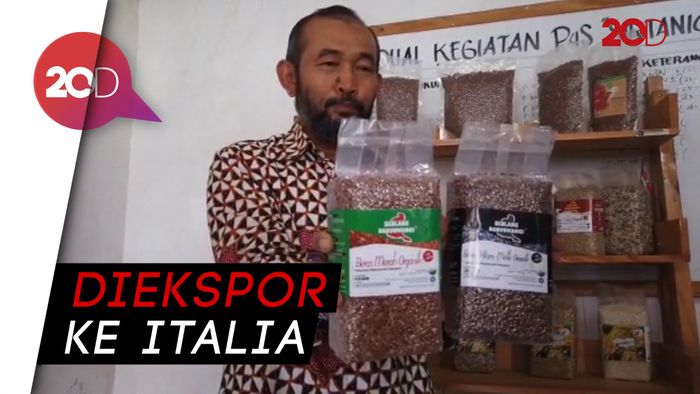 Wih! Beras Organik Banyuwangi Go Internasional