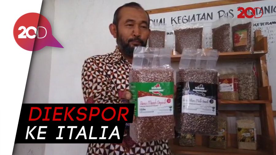 Wih! Beras Organik Banyuwangi Go Internasional