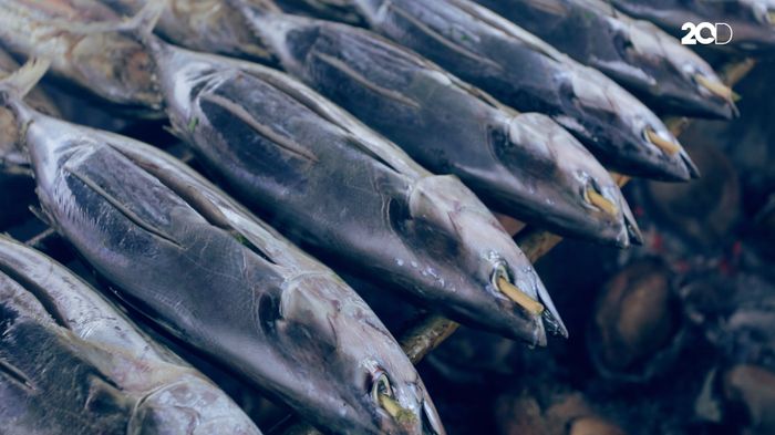 Ikan Fufu Hadirkan Mimpi Bangun Kos-kosan