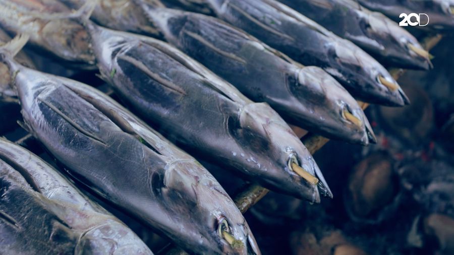 Ikan Fufu Hadirkan Mimpi Bangun Kos-kosan