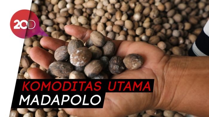 Cengkeh dan Pala Tumpuan Hidup Masyarakat Pulau Bisa