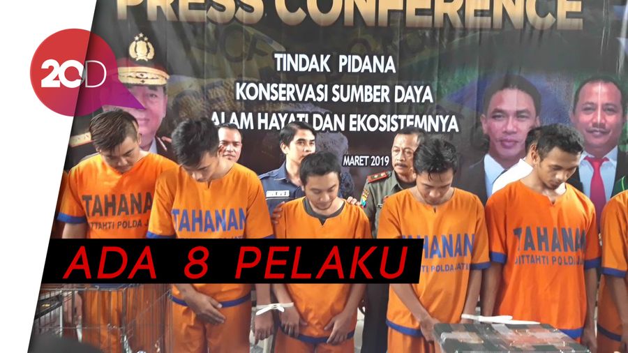Pedagang Hewan Langka Jaringan Internasional Dibekuk