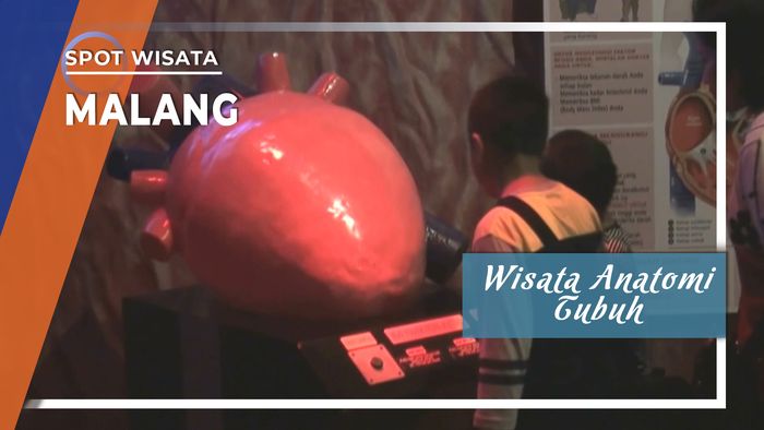 Wisata Anatomi Tubuh di Museum Tubuh Malang