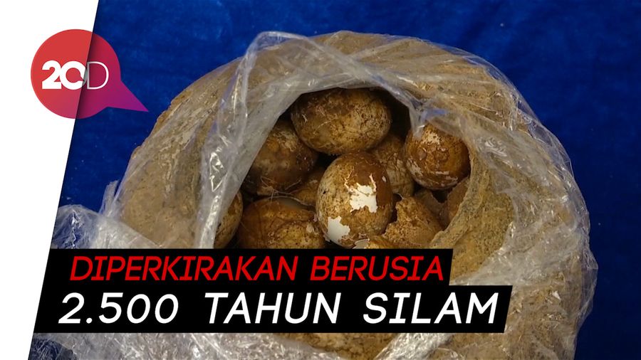 Telur Berusia Ribuan Tahun Ini Tak Rusak Dimakan Zaman, Kok Bisa Ya?