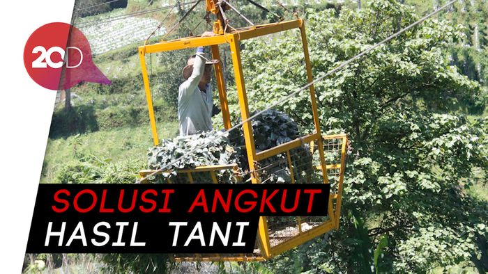 Top! Petani di Lembang Angkut Sayur Pakai Gondola