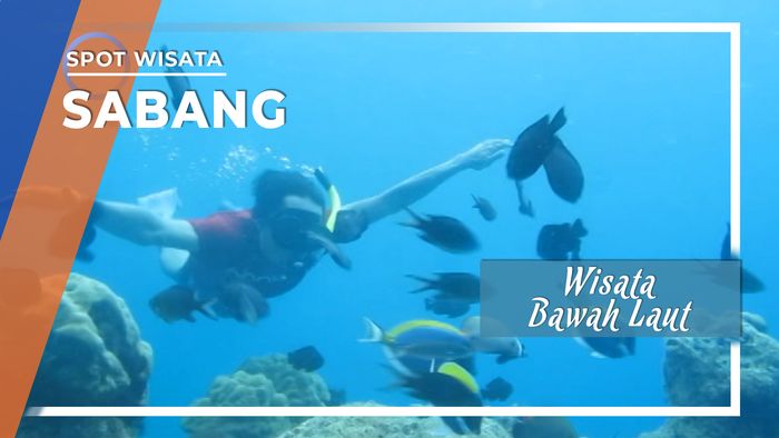 Wisata Bawah Laut Favorit Pantai Iboih