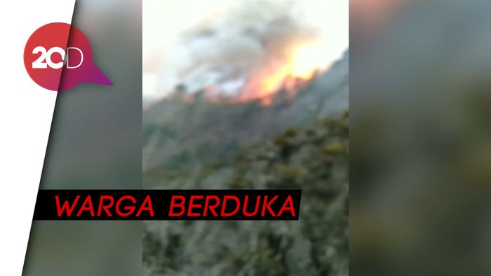 27 Petugas Damkar China Tewas saat Padamkan Kebakaran Hutan