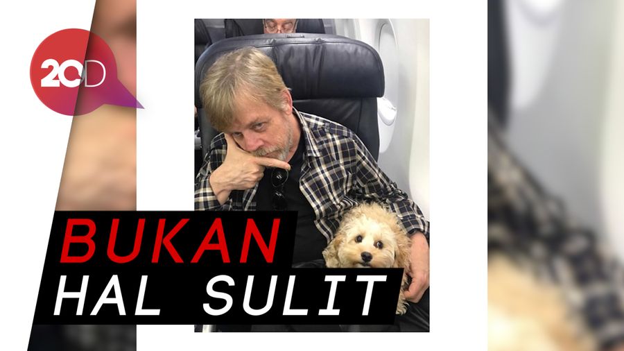 Wah! Mark Hamill Jadi Pengisi Suara Chucky di Film Childs Play