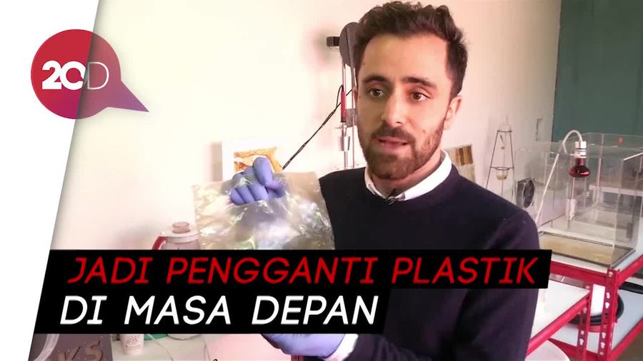 Wow! Cangkang Lobster Disulap jadi Plastik Ramah Lingkungan