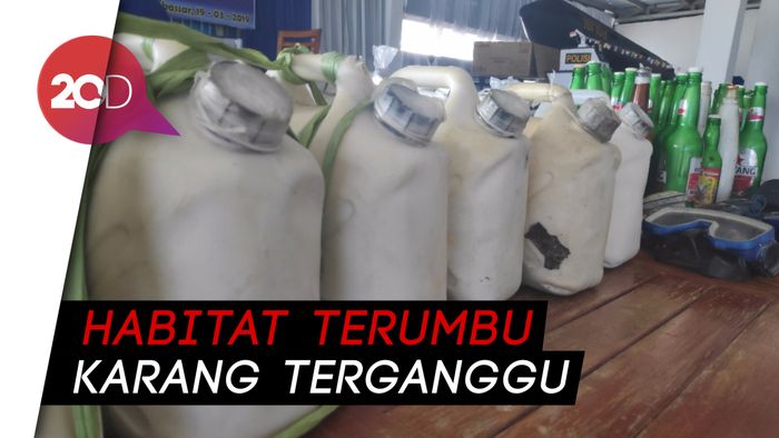 Bisa Bikin Rusak Terumbu Karang, Puluhan Bom Ikan di Bone Disita