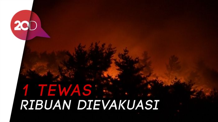 Dahsyatnya Kebakaran Hutan di Korea Selatan