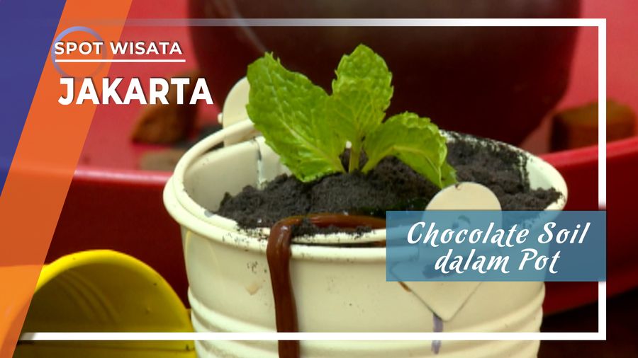 Sensasi memakan Coklat menyerupai pot tanaman berisi cacing di Kemang Jakarta Selatan