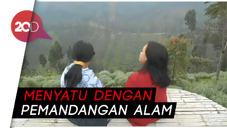 Menikmati Keindahan Taman Edelweis di Kawasan Bromo