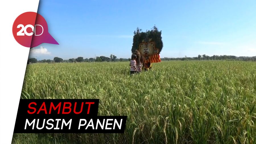 Warga Ponorogo Gelar Pertunjukan Reog di Tengah Sawah