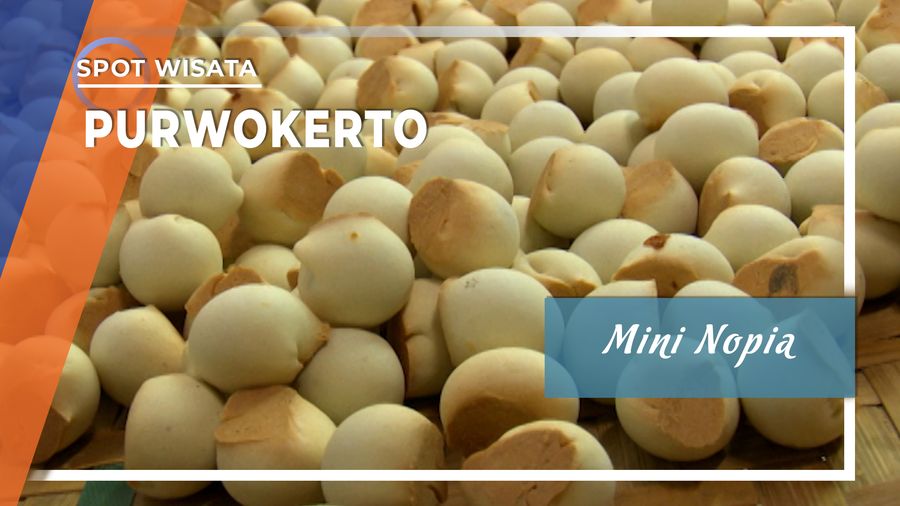 Mini Nopia oleh - oleh khas Purwekerto