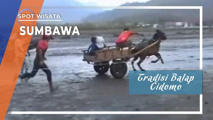 Tradisi Balap Cidomo, Sumbawa
