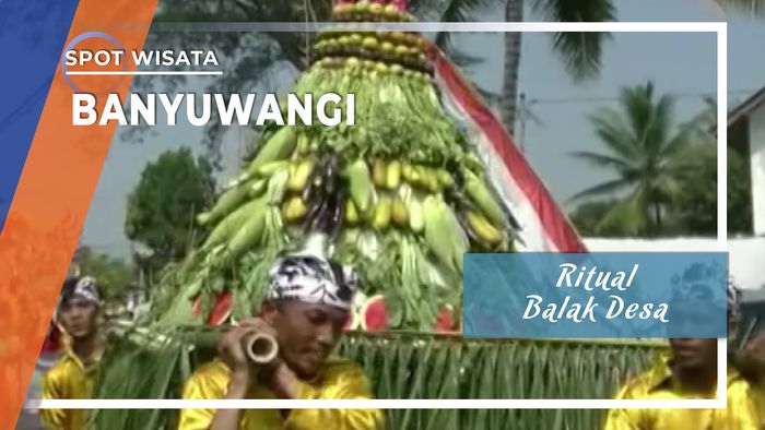 Ritual Balak Desa, Banyuwangi, Jawa Timur