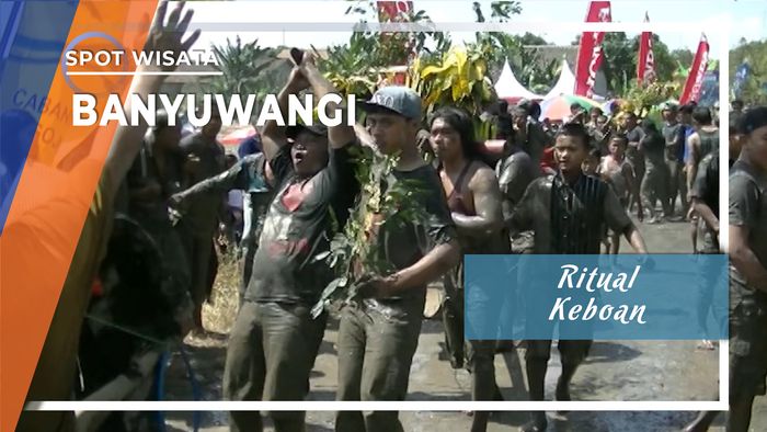Ritual Keboan, Kerasukan Kawanan Kerbau ala Banyuwangi