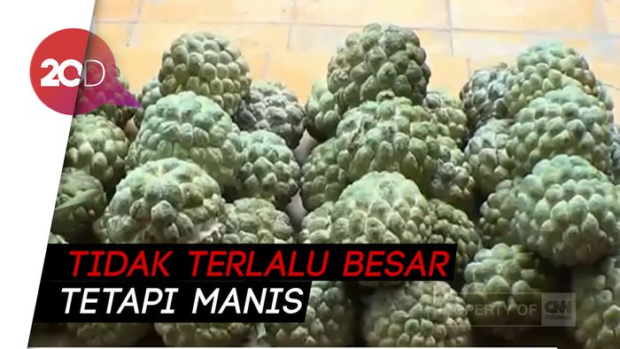 Petani Srikaya Pasuruan Panen Dua Kali Lipat Tahun Ini