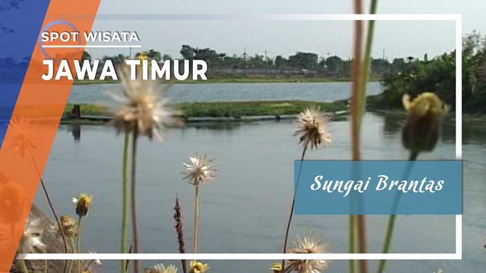 Sungai Brantas, Jawa Timur