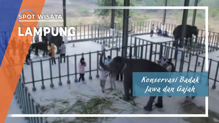 Konservasi Badak dan Gajah Bandar Lampung