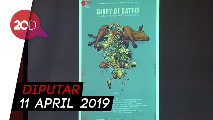 Diary of Cattle, Dokumenter Si Sapi yang Tembus di Swiss