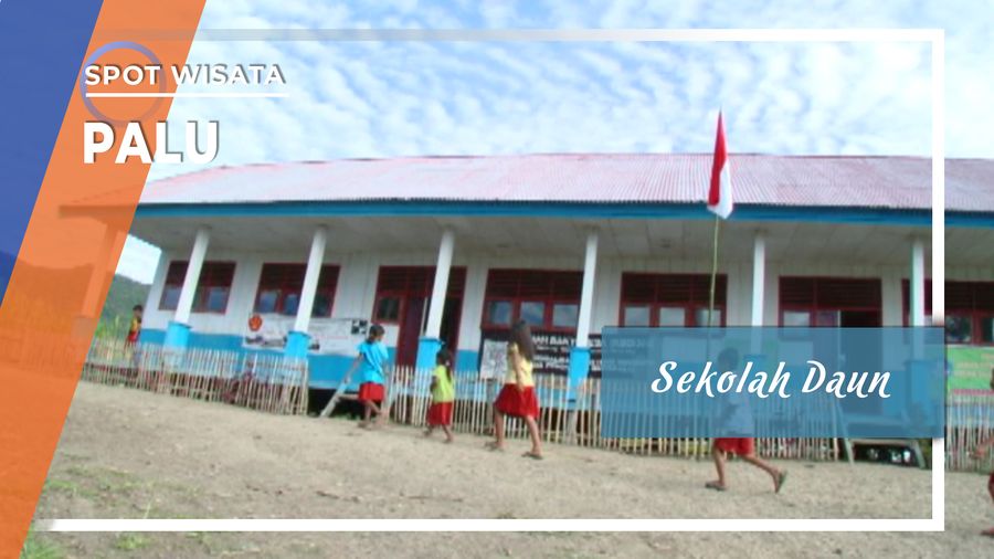 Sekolah Daun, Palu