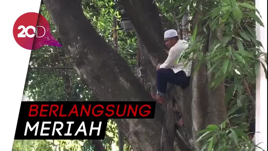 Demi Melihat Prabowo, Peserta Syukuran Panjat Pohon
