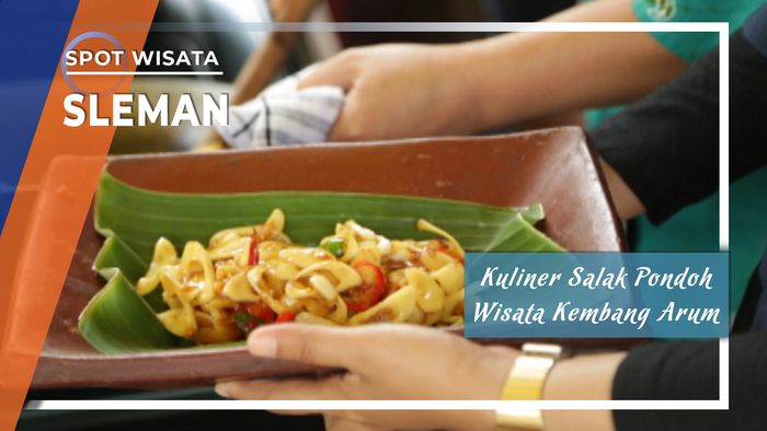 Wisata Petik Buah Salak Pondoh di Kembang Arum, Sleman