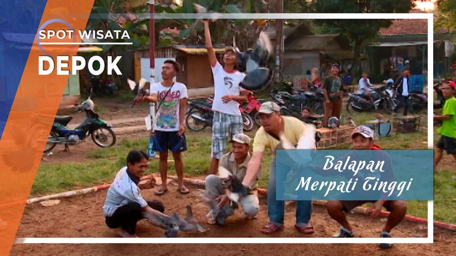 Balapan Merpati Tinggi, Depok
