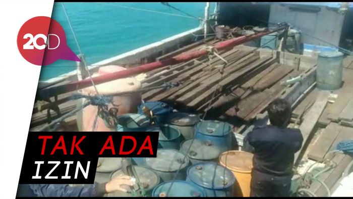 Bea Cukai Sulsel Gagalkan Pengiriman Kayu Ilegal Nilainya Rp 500 Juta