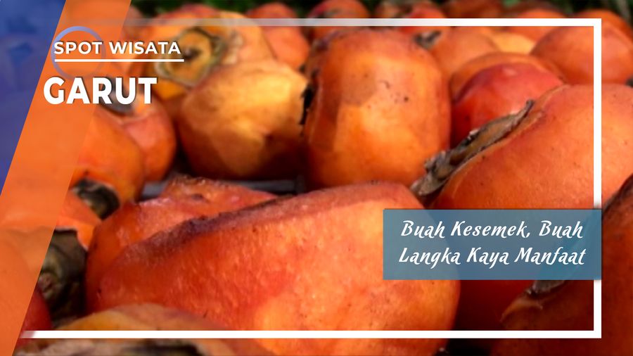 Buah Kesemek, Buah Langka Kaya Manfaat Asal Garut