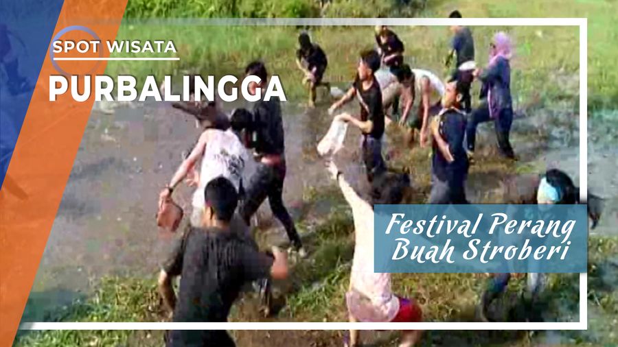 Festival Perang Buah Stroberi ala Desa Serang, Purbalingga