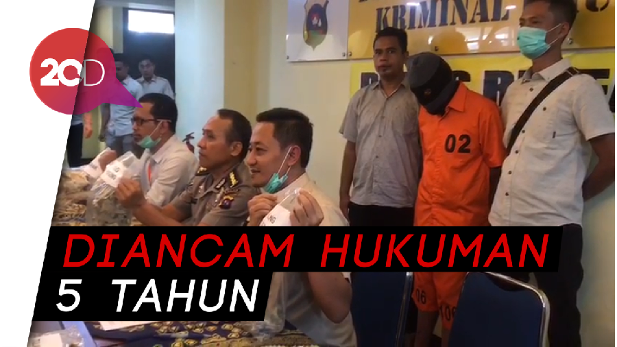 Pemilik Toko Barang Antik Diciduk karena Jual Beli Kulit Harimau